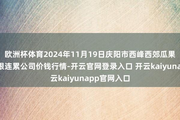欧洲杯体育2024年11月19日庆阳市西峰西郊瓜果蔬菜批发有限连累公司价钱行情-开云官网登录入口 开云kaiyunapp官网入口