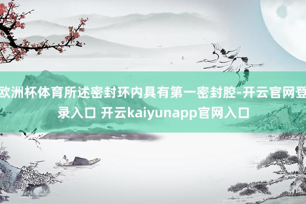 欧洲杯体育所述密封环内具有第一密封腔-开云官网登录入口 开云kaiyunapp官网入口