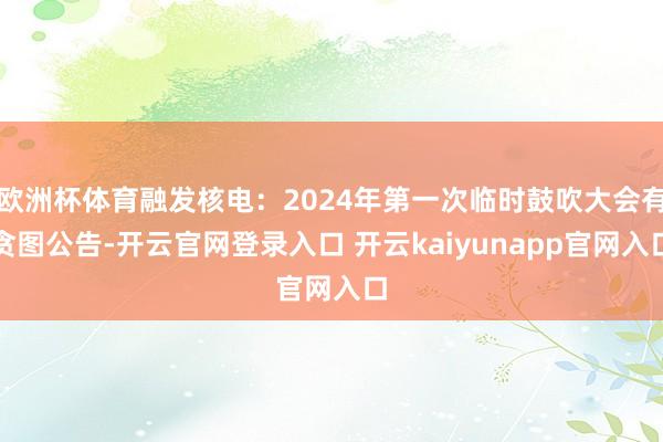 欧洲杯体育融发核电：2024年第一次临时鼓吹大会有贪图公告-开云官网登录入口 开云kaiyunapp官网入口