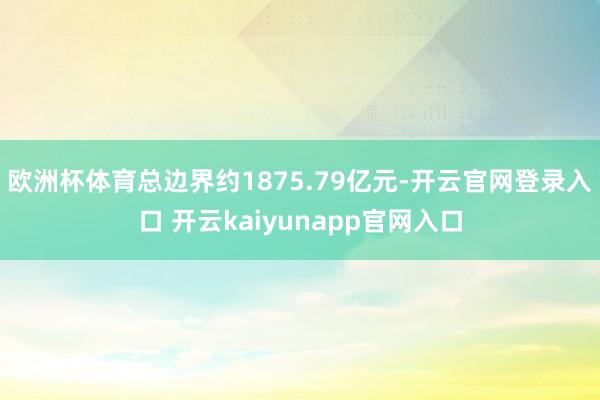 欧洲杯体育总边界约1875.79亿元-开云官网登录入口 开云kaiyunapp官网入口
