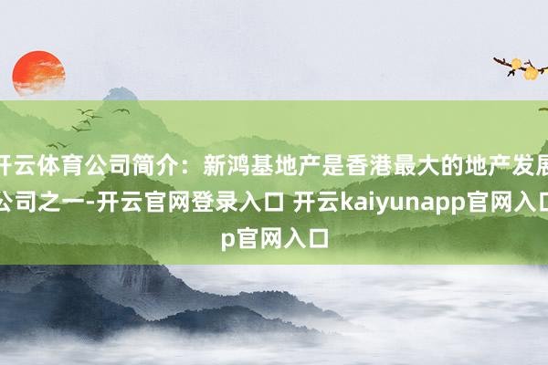 开云体育公司简介：新鸿基地产是香港最大的地产发展公司之一-开云官网登录入口 开云kaiyunapp官网入口