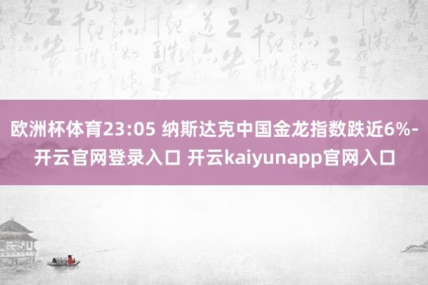 欧洲杯体育23:05 纳斯达克中国金龙指数跌近6%-开云官网登录入口 开云kaiyunapp官网入口