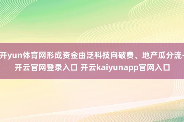 开yun体育网形成资金由泛科技向破费、地产瓜分流-开云官网登录入口 开云kaiyunapp官网入口