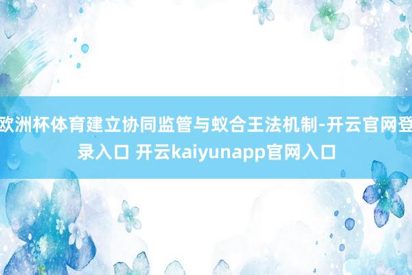 欧洲杯体育建立协同监管与蚁合王法机制-开云官网登录入口 开云kaiyunapp官网入口