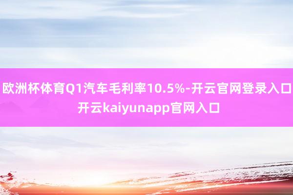欧洲杯体育Q1汽车毛利率10.5%-开云官网登录入口 开云kaiyunapp官网入口