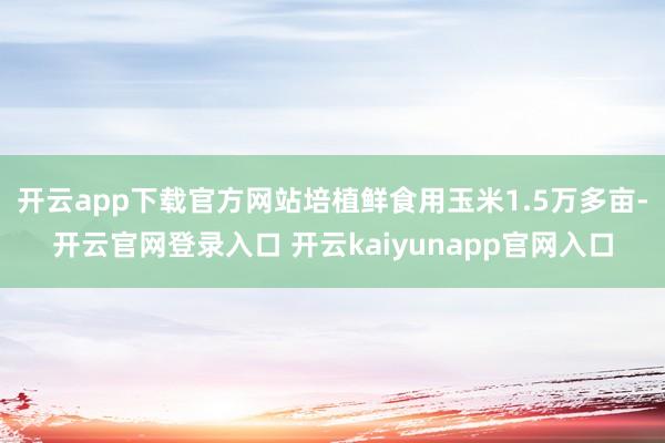 开云app下载官方网站培植鲜食用玉米1.5万多亩-开云官网登录入口 开云kaiyunapp官网入口