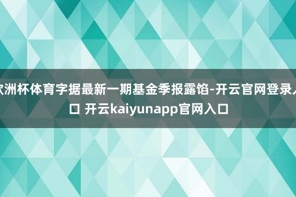 欧洲杯体育字据最新一期基金季报露馅-开云官网登录入口 开云kaiyunapp官网入口