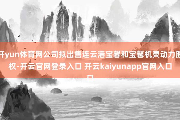 开yun体育网公司拟出售连云港宝馨和宝馨机灵动力股权-开云官网登录入口 开云kaiyunapp官网入口