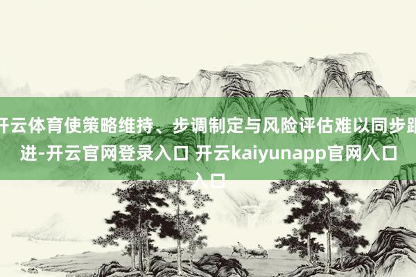 开云体育使策略维持、步调制定与风险评估难以同步跟进-开云官网登录入口 开云kaiyunapp官网入口