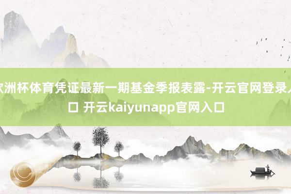 欧洲杯体育凭证最新一期基金季报表露-开云官网登录入口 开云kaiyunapp官网入口
