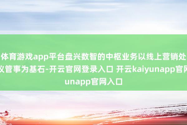 体育游戏app平台盘兴数智的中枢业务以线上营销处治决议管事为基石-开云官网登录入口 开云kaiyunapp官网入口