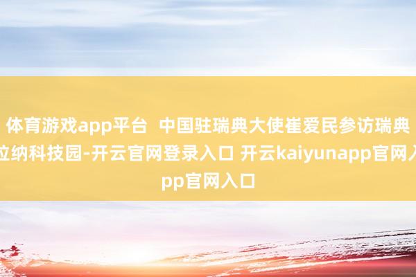体育游戏app平台  中国驻瑞典大使崔爱民参访瑞典达拉纳科技园-开云官网登录入口 开云kaiyunapp官网入口