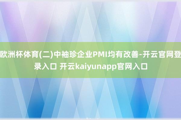 欧洲杯体育(二)中袖珍企业PMI均有改善-开云官网登录入口 开云kaiyunapp官网入口