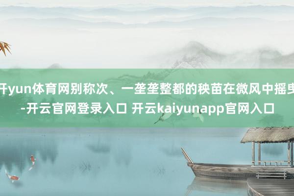 开yun体育网别称次、一垄垄整都的秧苗在微风中摇曳-开云官网登录入口 开云kaiyunapp官网入口