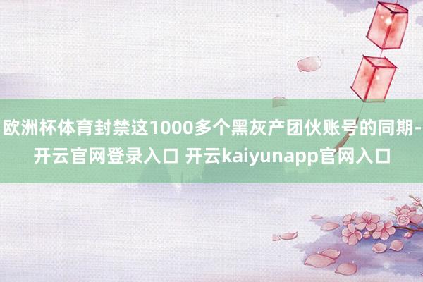 欧洲杯体育封禁这1000多个黑灰产团伙账号的同期-开云官网登录入口 开云kaiyunapp官网入口