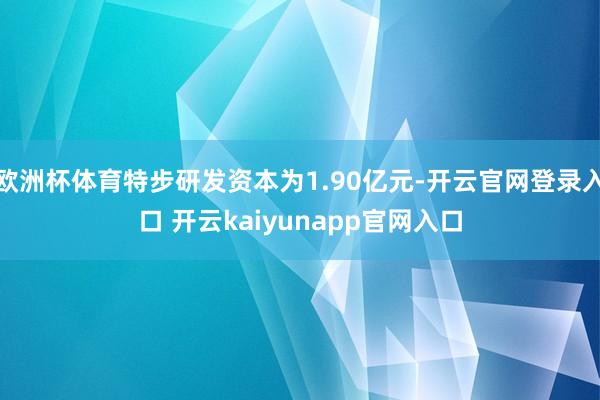 欧洲杯体育特步研发资本为1.90亿元-开云官网登录入口 开云kaiyunapp官网入口