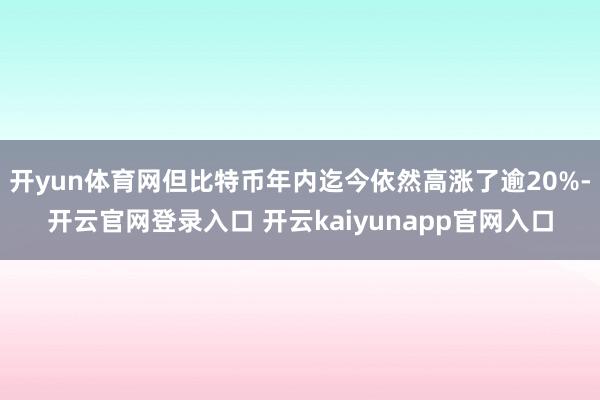 开yun体育网但比特币年内迄今依然高涨了逾20%-开云官网登录入口 开云kaiyunapp官网入口